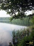 Pulvermaar bei Gillenfeld nahe Daun in der Vulkaneifel, Rheinland-Pfalz, (D) (5) 01. Juni 2014.JPG